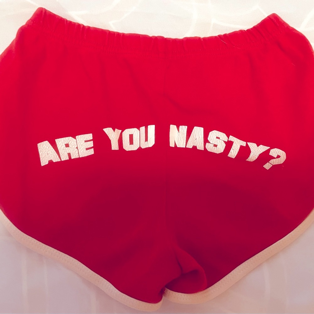 2014 Panic at the Disco booty shorts, size small